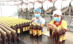 MẬT ONG VIỆT ĐÃ CÓ NHỮNG THƯƠNG HIỆU CHINH PHỤC NGƯỜI TIÊU DÙNG