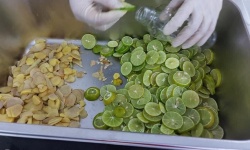 Nhật ký yêu thương! 