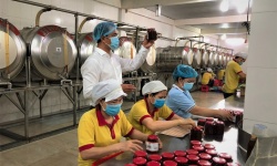Tổng Giám đốc Công ty CP Tập đoàn Xuân Nguyên kiểm tra mẫu sản phẩm trước khi xuất xưởng.