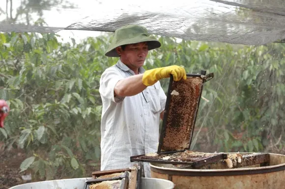 Tin tức